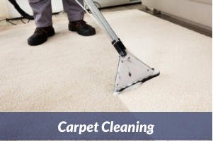 Carpet Cleaning